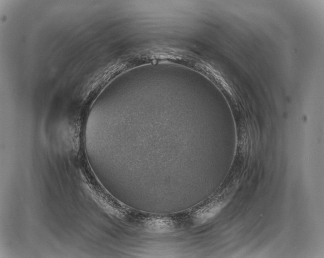 X0000087600402200704271337