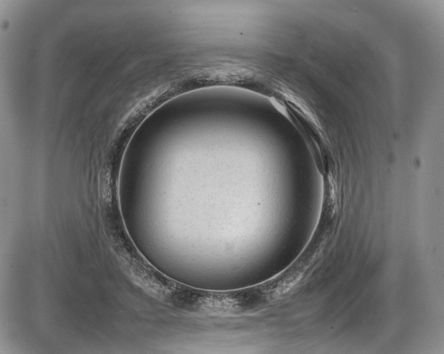 X0000087600403200704271337