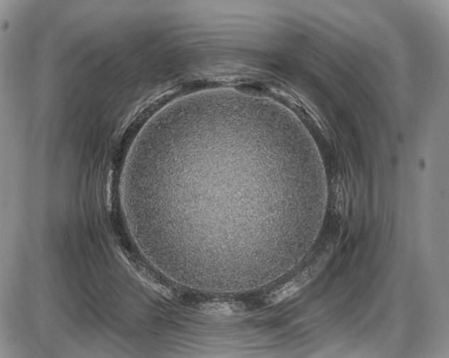 X0000087600404200704271337