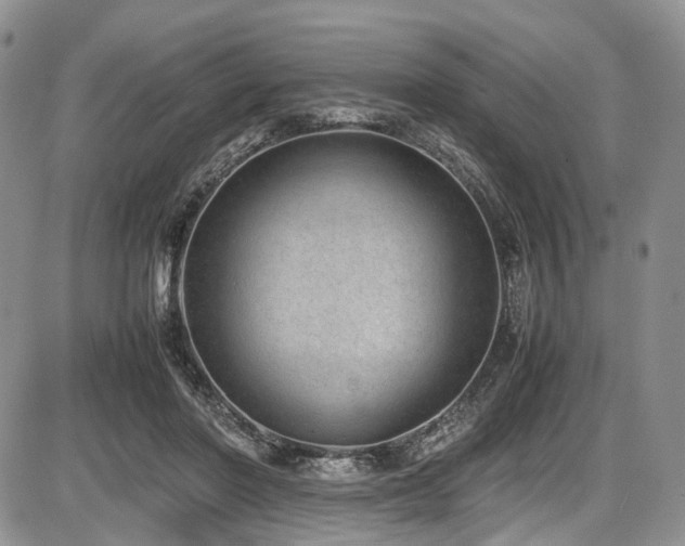 X0000087600406200704271337