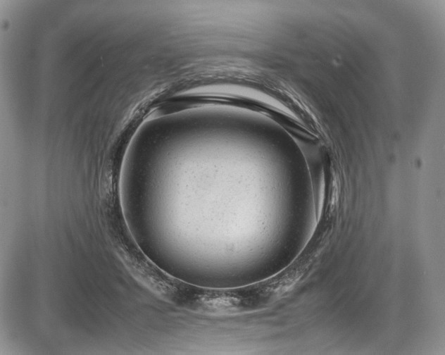 X0000087600407200704271337