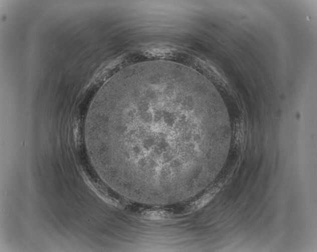 X0000087600408200704271337
