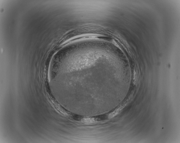 X0000087600413200704271337