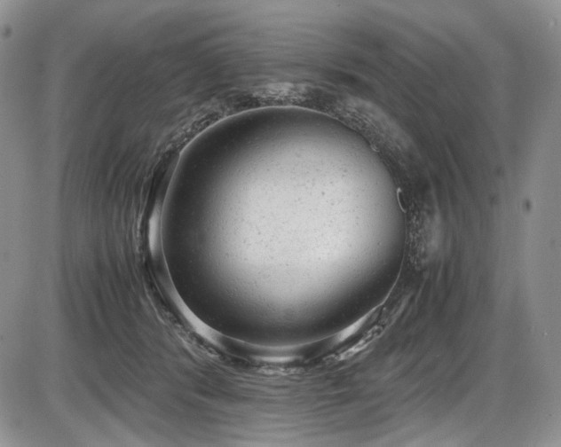 X0000087600416200704271337