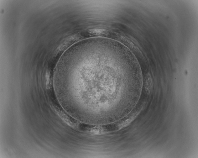 X0000087600420200704271337