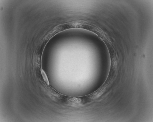 X0000087600421200704271337