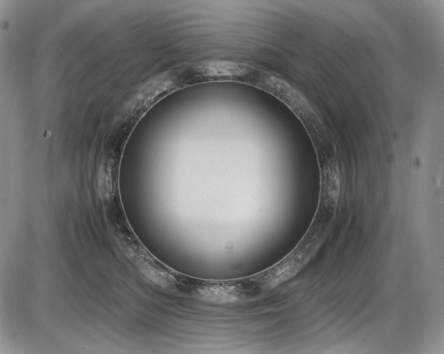 X0000087600422200704271337