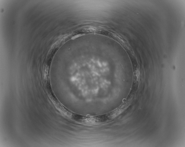 X0000087600423200704271337