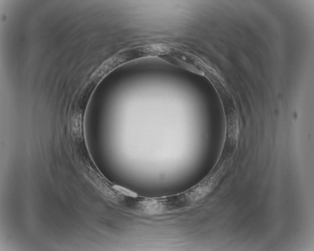 X0000087600425200704271337