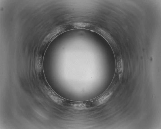 X0000087600426200704271337