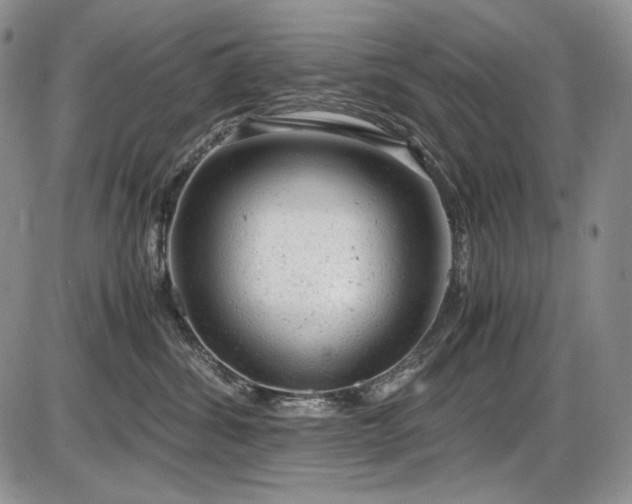 X0000087600428200704271337