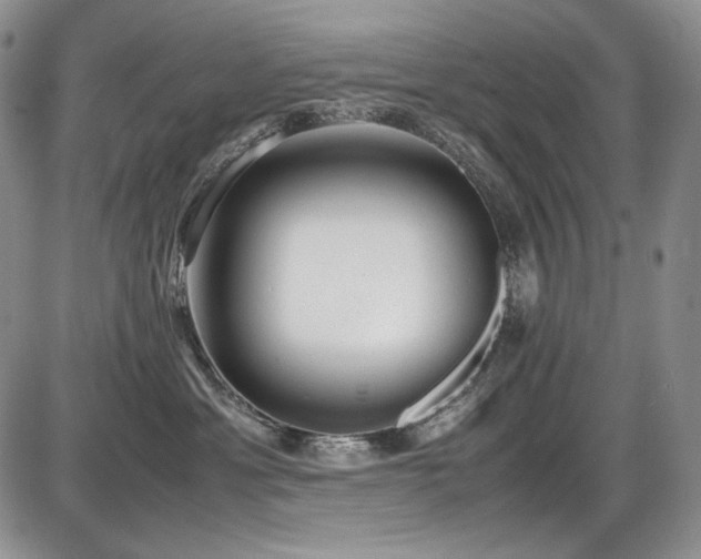 X0000087600429200704271337
