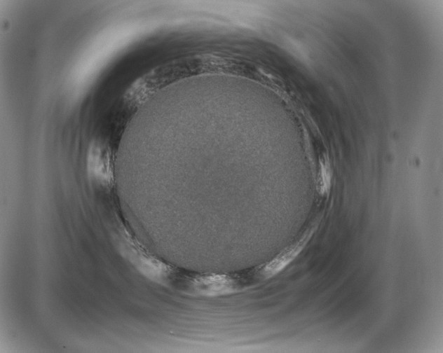 X0000087600431200704271337