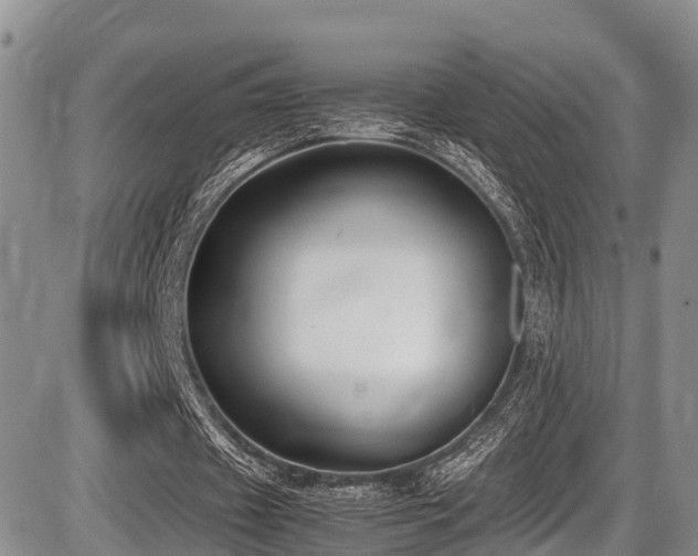 X0000087600433200704271336