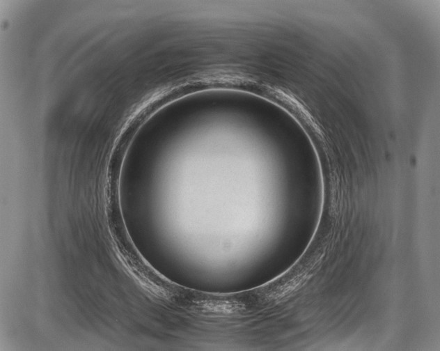 X0000087600439200704271336