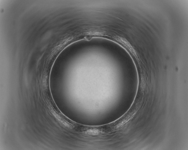 X0000087600441200704271336