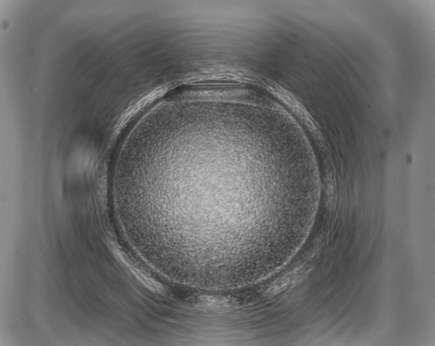X0000087600442200704271336
