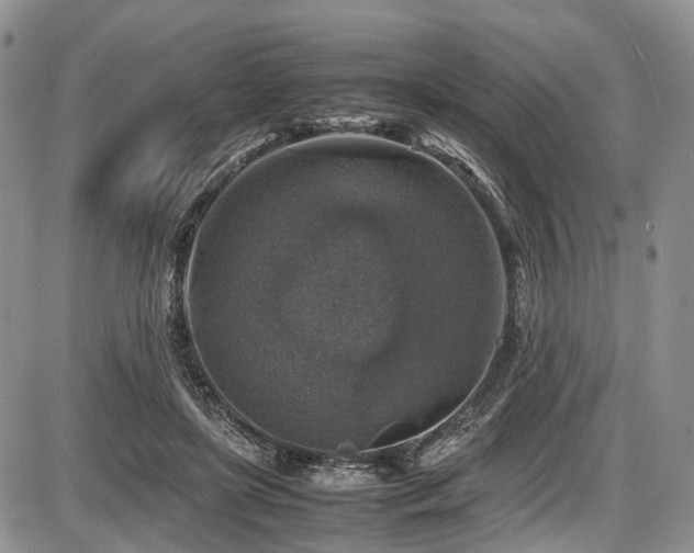 X0000087600451200704271336