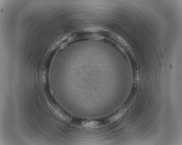 X0000087600452200704271336