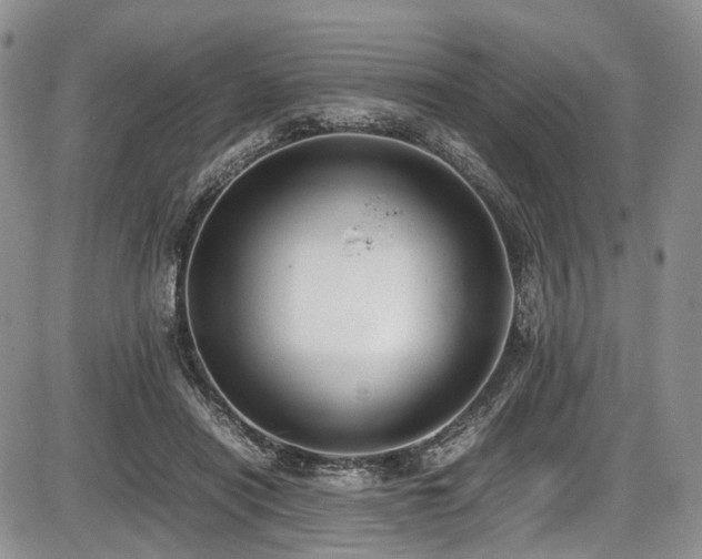 X0000087600454200704271336