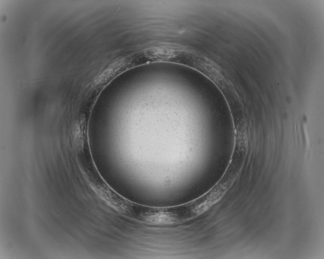 X0000087600460200704271336