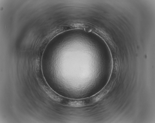X0000087600461200704271336