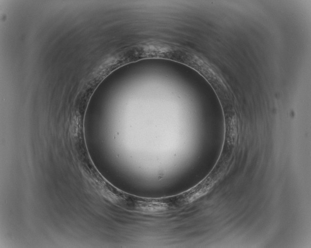 X0000087600463200704271336