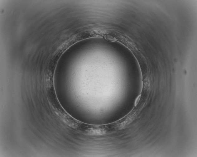 X0000087600464200704271337