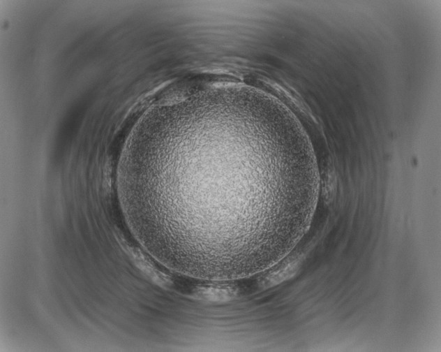X0000087600466200704271337