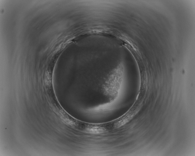 X0000087600467200704271337