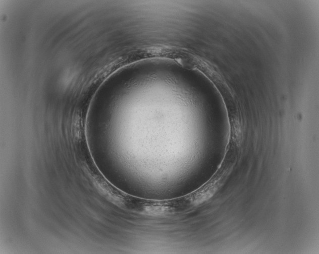 X0000087600470200704271337