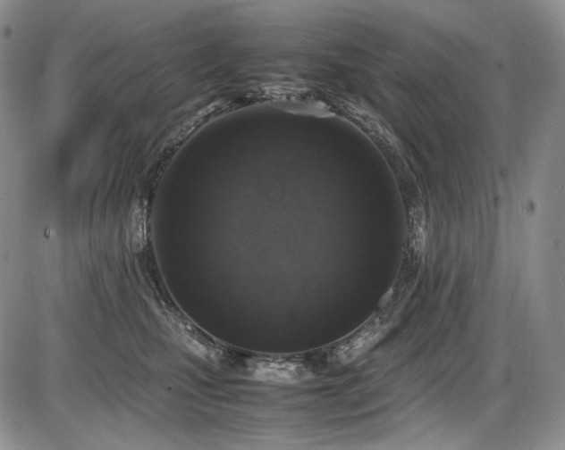 X0000087600471200704271337