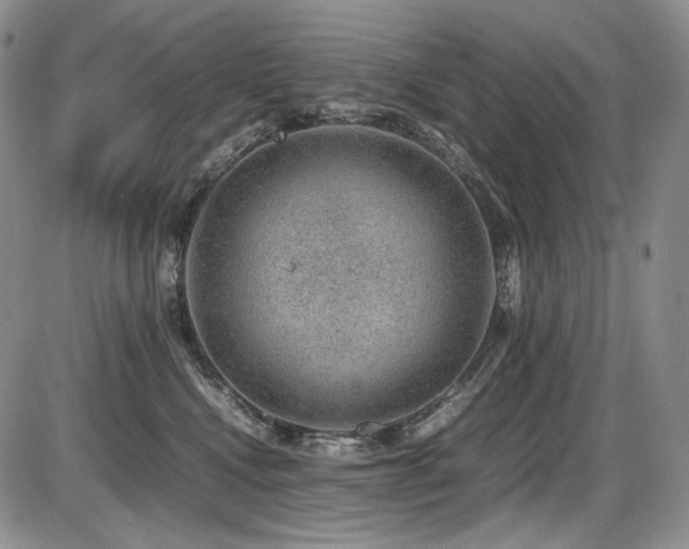 X0000087600472200704271337