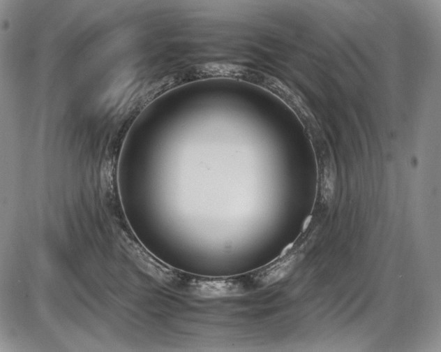 X0000087600473200704271337