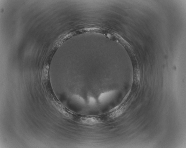 X0000087600475200704271337