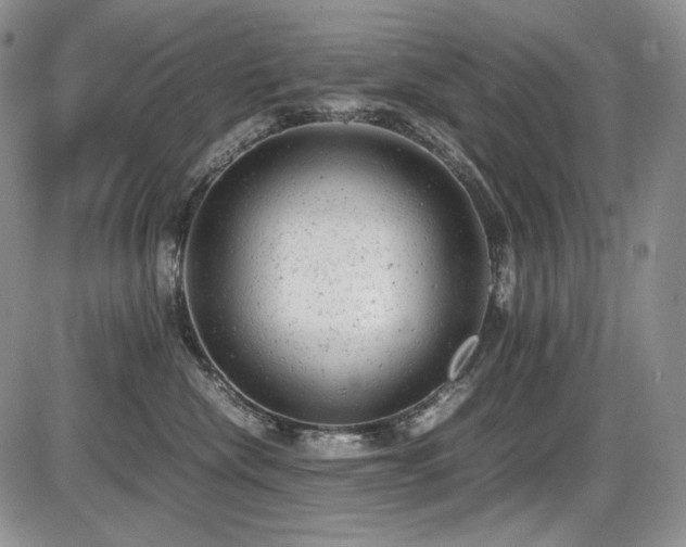X0000087600476200704271337