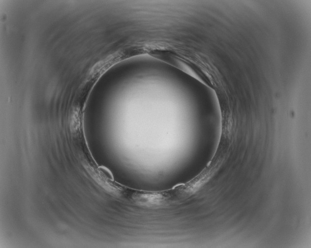 X0000087600478200704271337
