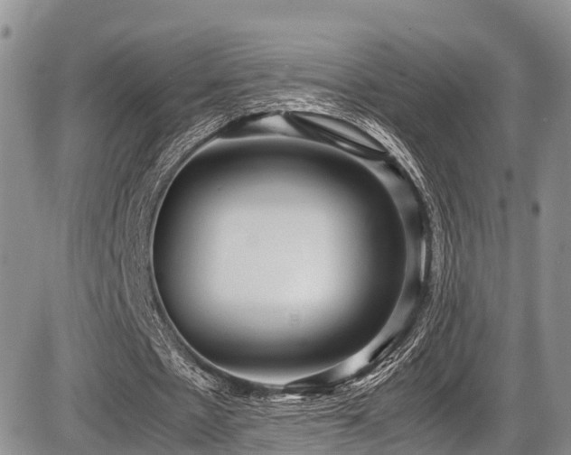 X0000087600481200704271336