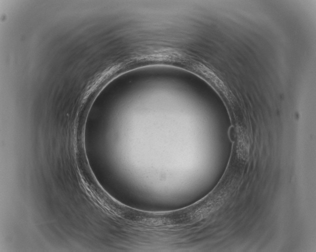 X0000087600482200704271336
