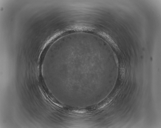 X0000087600488200704271336