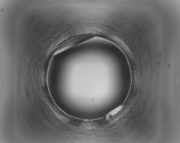 X0000087600489200704271336