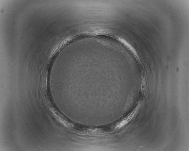 X0000087600493200704271336