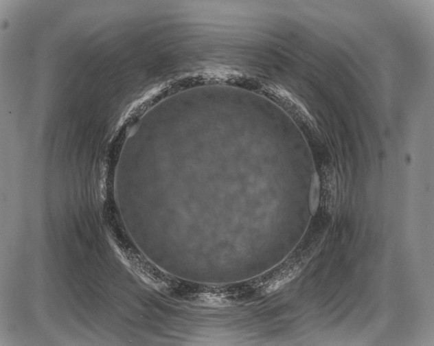 X0000087600496200704271336