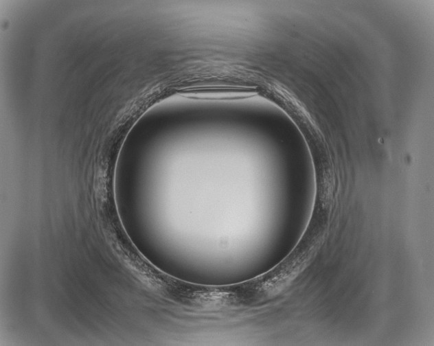 X0000087600497200704271336