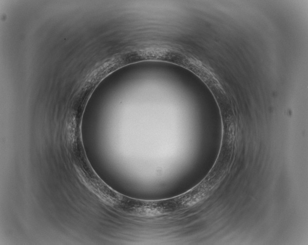 X0000087600498200704271336
