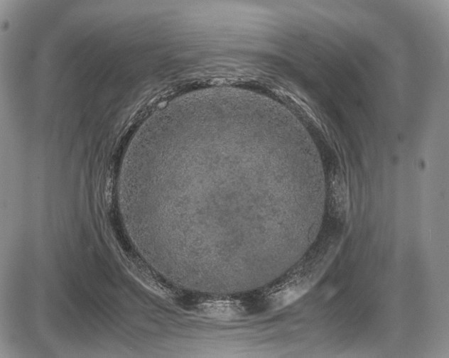 X0000087600499200704271336