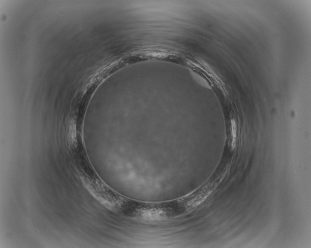 X0000087600500200704271336