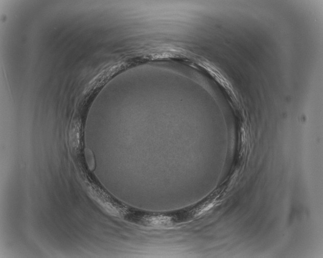 X0000087600501200704271336