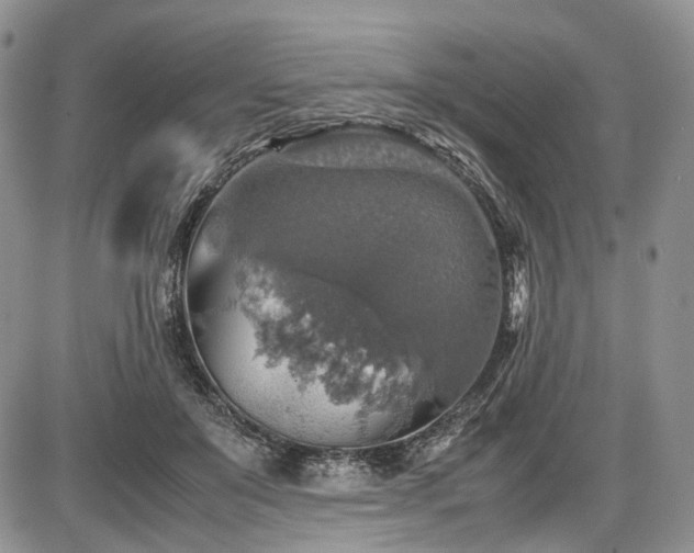 X0000087600503200704271336
