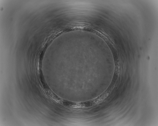 X0000087600504200704271336
